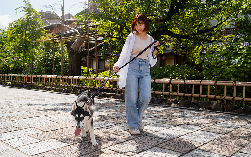 Image of a pet sitter walking a dog