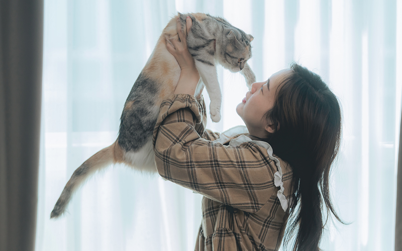 Image of a person playing with a cat