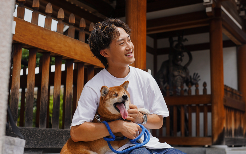 A stock photo of pet sitting
